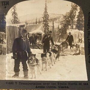 Transportation Over Icy Trails, Alaska--Stereoview Keystone T Series #199